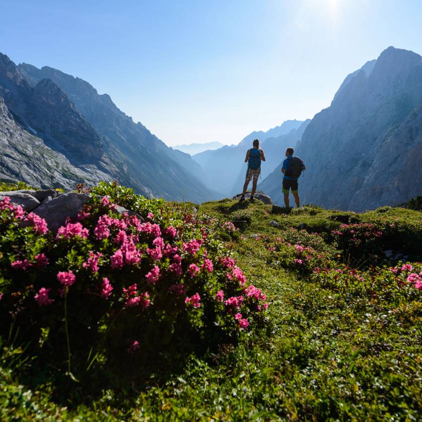 Eibsee hiking: Active holiday at the lake - Hotel Eibsee