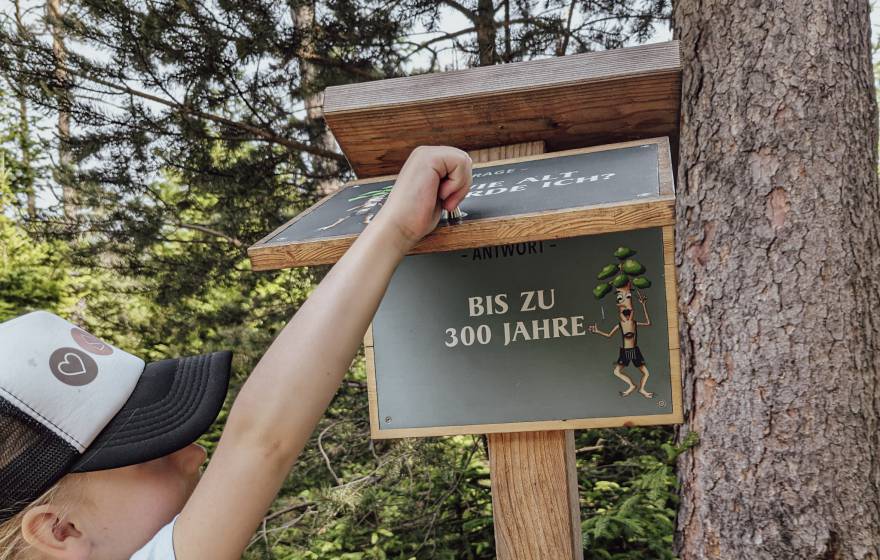 Walderlebnispfad mit Infotafel für Kinder