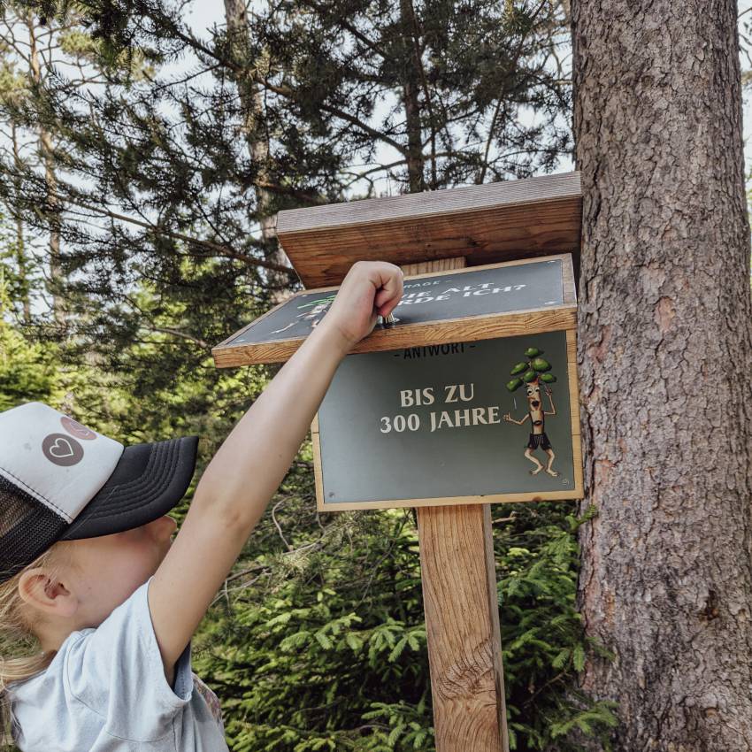 Farchant forest adventure trail: Interactive information stations and more - Hotel Eibsee